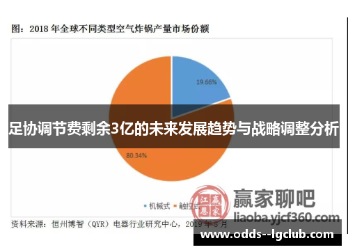 足协调节费剩余3亿的未来发展趋势与战略调整分析 足协调节费剩余3亿的未来发展趋势与战略调整分析